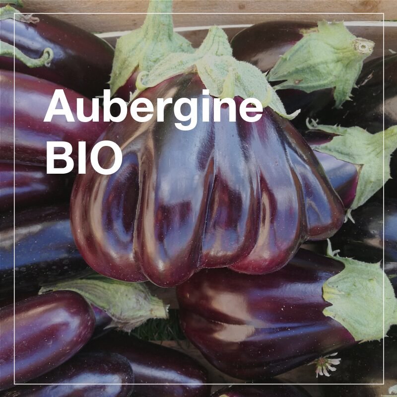 Aubergines BIO - 500g