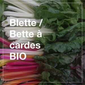 Blettes BIO