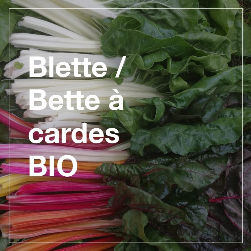 Blettes BIO 1 Blettes BIO