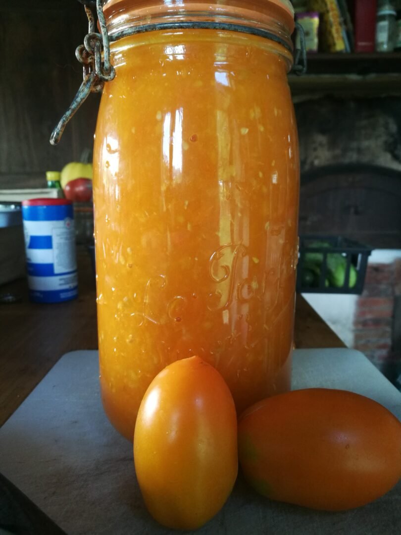 Plants de Tomates anciennes BIO 4 Plants de Tomates anciennes BIO – Image 4