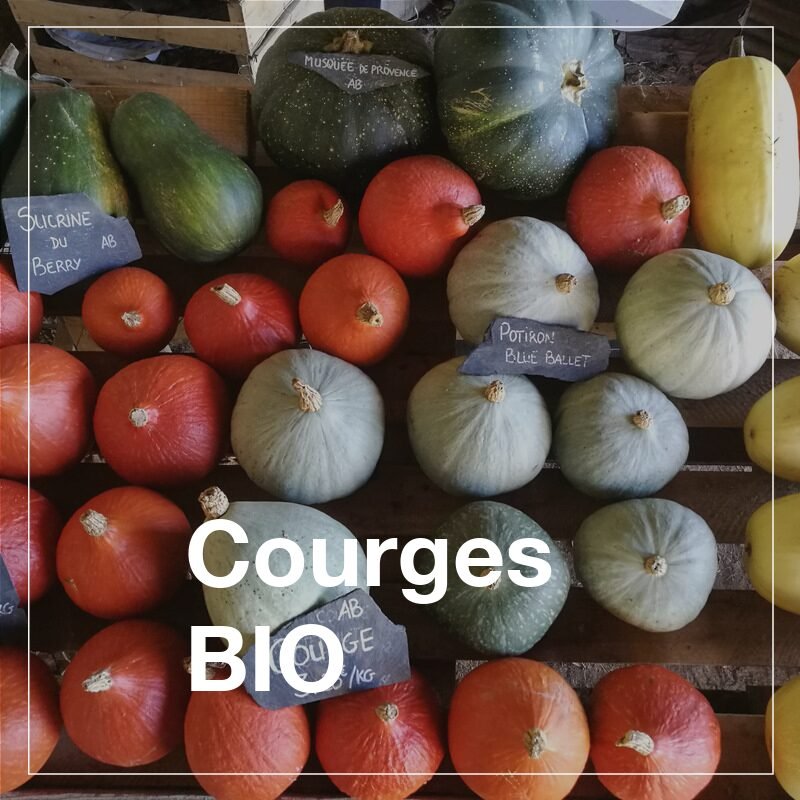 Courges BIO - 1Kg