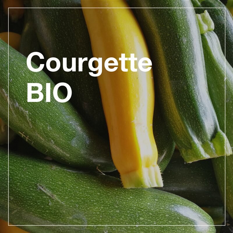 Courgettes BIO