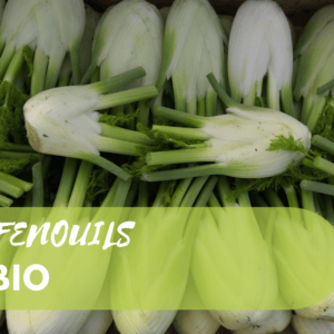 Fenouils BIO - 500g