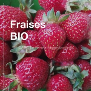 Fraises BIO