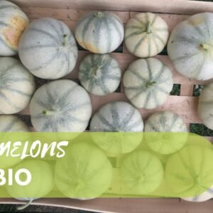Melons BIO - exclusivité marché à la ferme