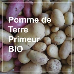 Pomme de Terre Primeur BIO