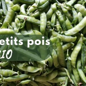 Petits Pois BIO