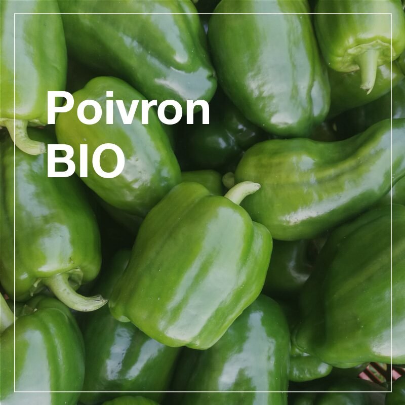 Poivrons verts BIO - 250g