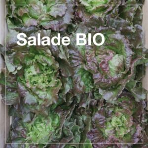 Salades BIO